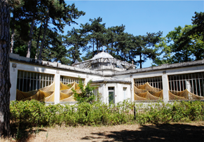 jardin d'agronomie tropicale